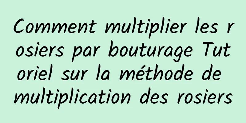 Comment multiplier les rosiers par bouturage Tutoriel sur la méthode de multiplication des rosiers