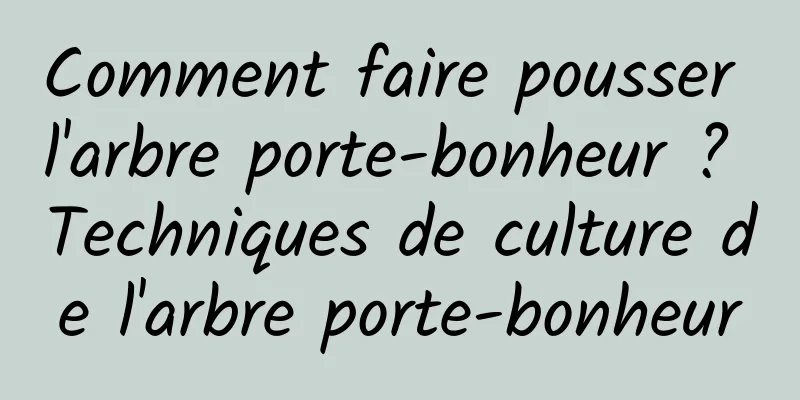 Comment faire pousser l'arbre porte-bonheur ? Techniques de culture de l'arbre porte-bonheur