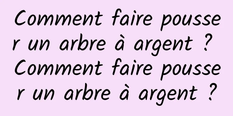 Comment faire pousser un arbre à argent ? Comment faire pousser un arbre à argent ?