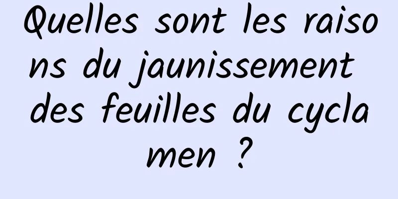 Quelles sont les raisons du jaunissement des feuilles du cyclamen ?