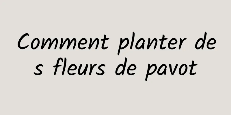 Comment planter des fleurs de pavot