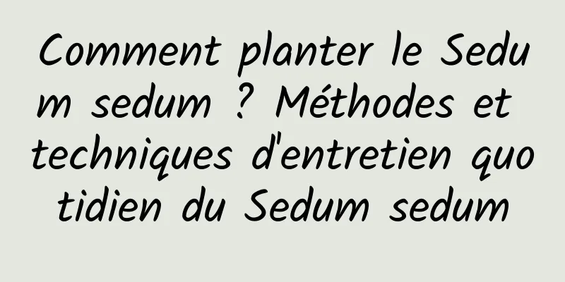 Comment planter le Sedum sedum ? Méthodes et techniques d'entretien quotidien du Sedum sedum