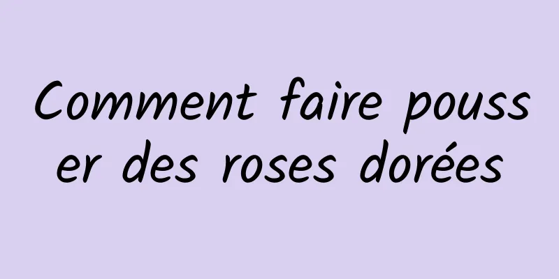 Comment faire pousser des roses dorées