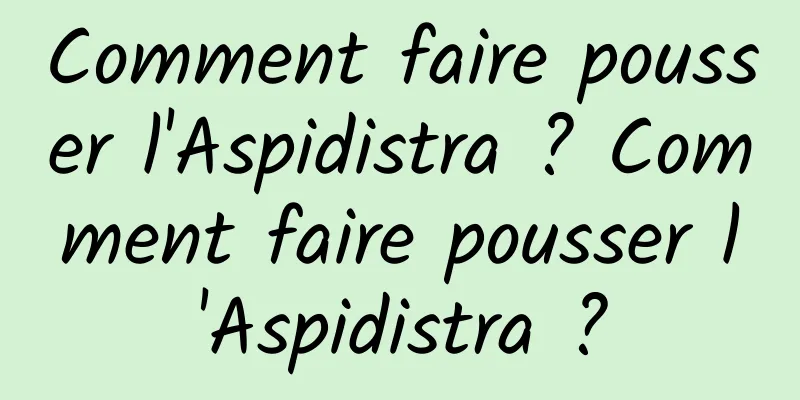 Comment faire pousser l'Aspidistra ? Comment faire pousser l'Aspidistra ?