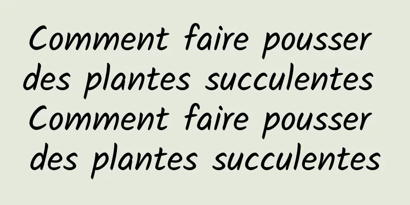 Comment faire pousser des plantes succulentes Comment faire pousser des plantes succulentes