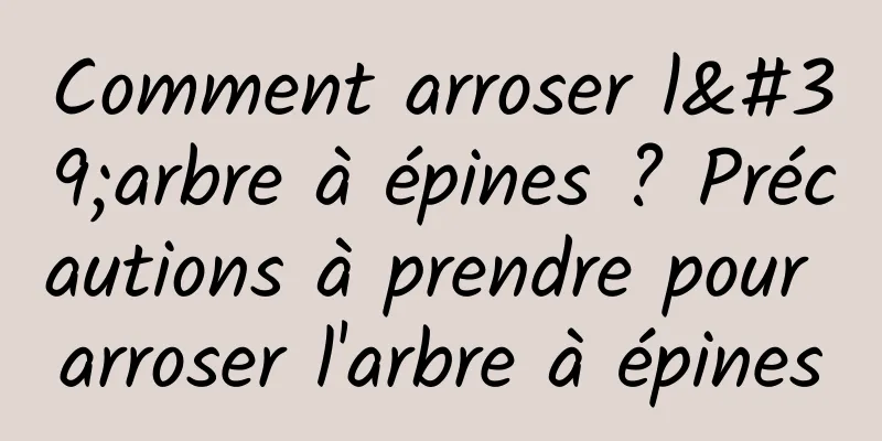 Comment arroser l'arbre à épines ? Précautions à prendre pour arroser l'arbre à épines