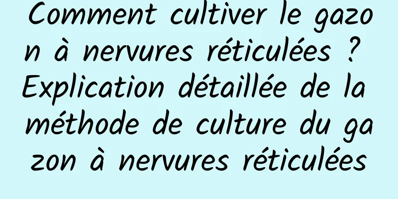 Comment cultiver le gazon à nervures réticulées ? Explication détaillée de la méthode de culture du gazon à nervures réticulées