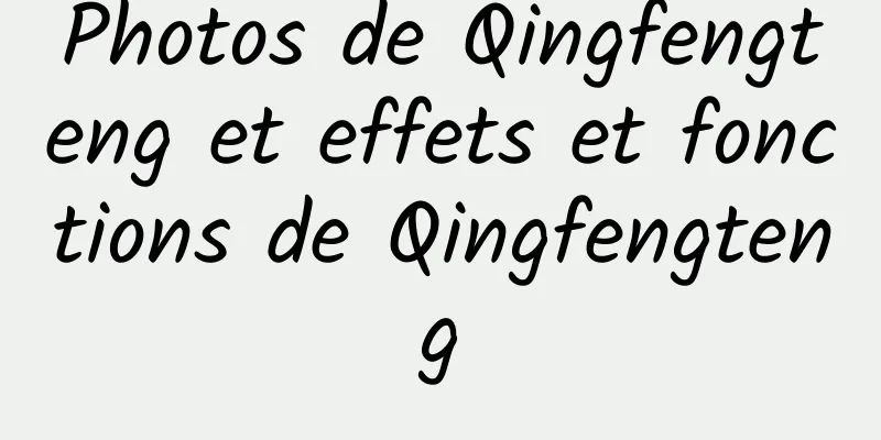 Photos de Qingfengteng et effets et fonctions de Qingfengteng