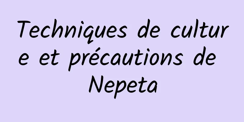 Techniques de culture et précautions de Nepeta