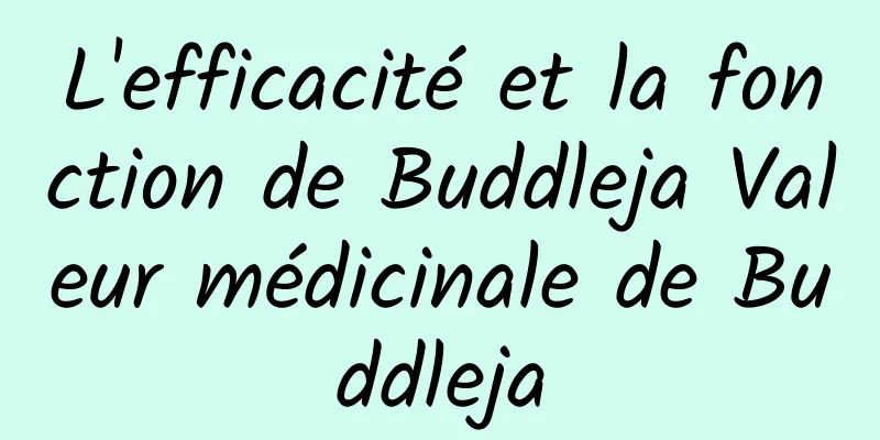 L'efficacité et la fonction de Buddleja Valeur médicinale de Buddleja