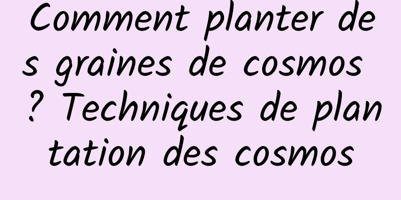 Comment planter des graines de cosmos ? Techniques de plantation des cosmos