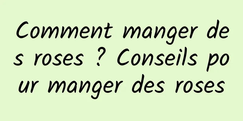 Comment manger des roses ? Conseils pour manger des roses