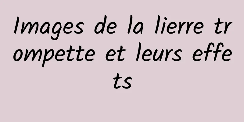 Images de la lierre trompette et leurs effets