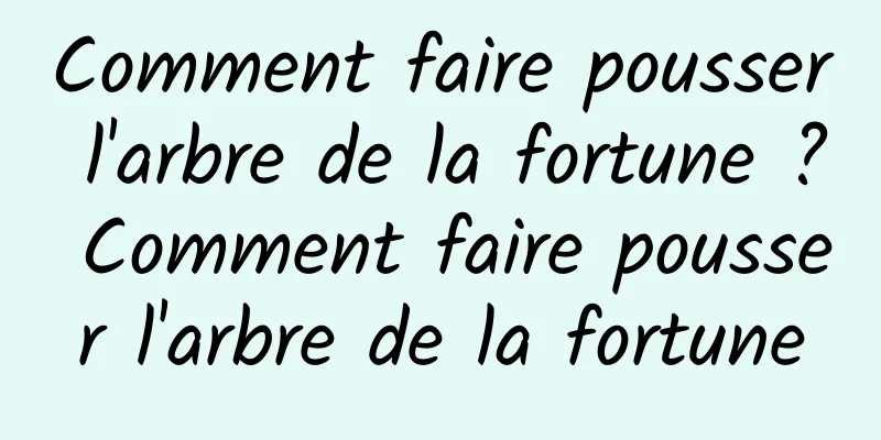 Comment faire pousser l'arbre de la fortune ? Comment faire pousser l'arbre de la fortune