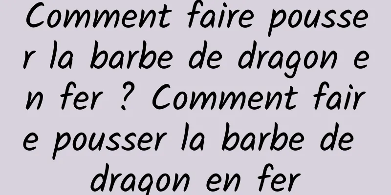 Comment faire pousser la barbe de dragon en fer ? Comment faire pousser la barbe de dragon en fer