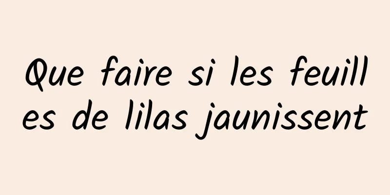 Que faire si les feuilles de lilas jaunissent