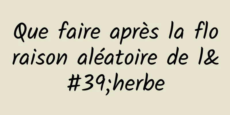 Que faire après la floraison aléatoire de l'herbe