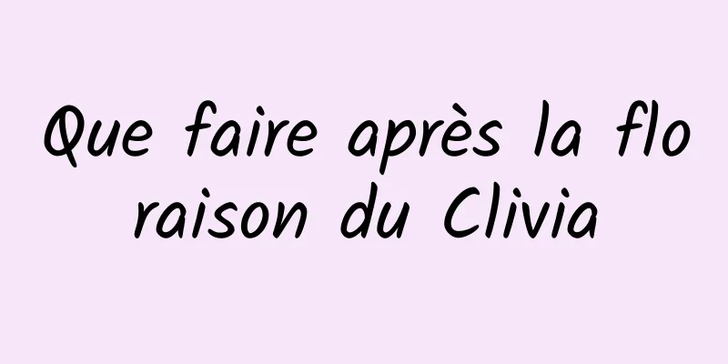 Que faire après la floraison du Clivia