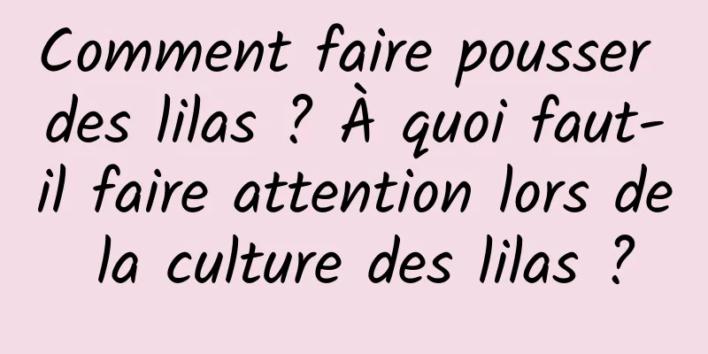 Comment faire pousser des lilas ? À quoi faut-il faire attention lors de la culture des lilas ?