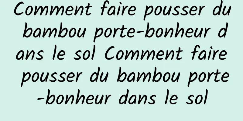 Comment faire pousser du bambou porte-bonheur dans le sol Comment faire pousser du bambou porte-bonheur dans le sol