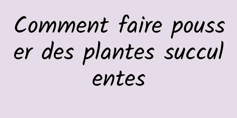 Comment faire pousser des plantes succulentes