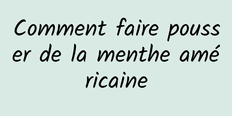 Comment faire pousser de la menthe américaine