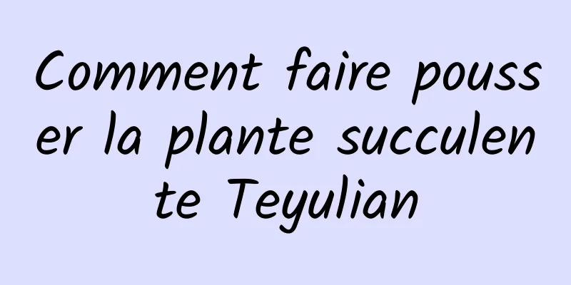 Comment faire pousser la plante succulente Teyulian