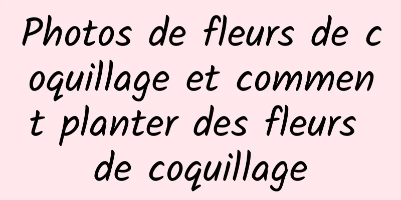 Photos de fleurs de coquillage et comment planter des fleurs de coquillage