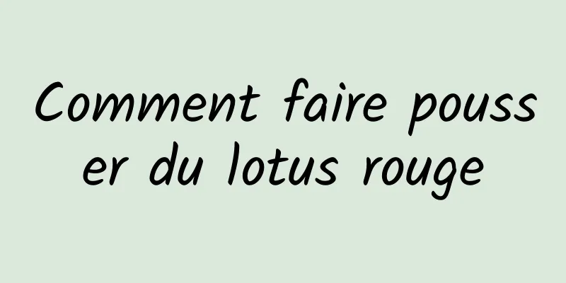 Comment faire pousser du lotus rouge