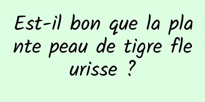 Est-il bon que la plante peau de tigre fleurisse ?