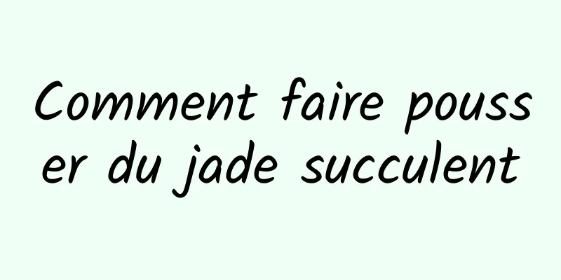 Comment faire pousser du jade succulent