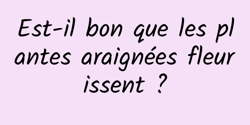 Est-il bon que les plantes araignées fleurissent ?