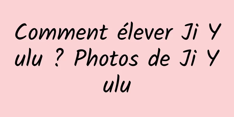 Comment élever Ji Yulu ? Photos de Ji Yulu