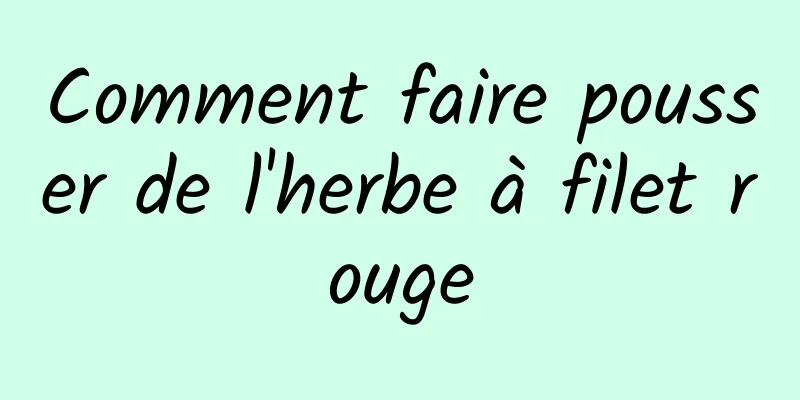 Comment faire pousser de l'herbe à filet rouge