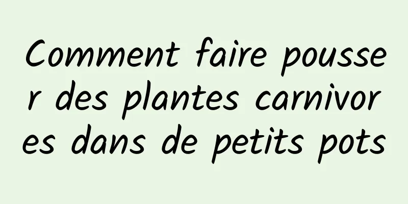 Comment faire pousser des plantes carnivores dans de petits pots