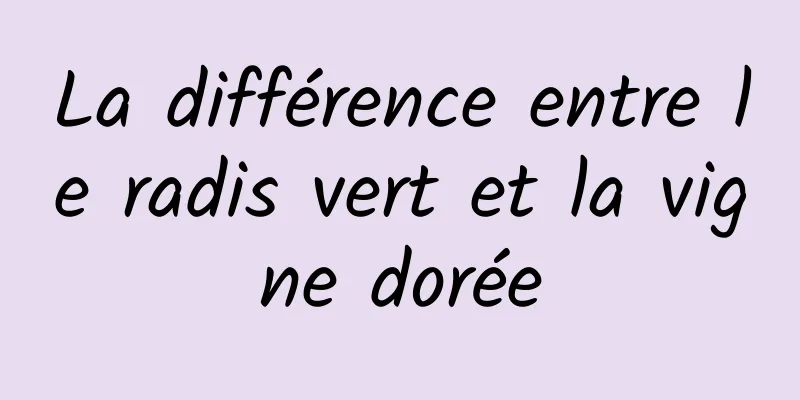 La différence entre le radis vert et la vigne dorée