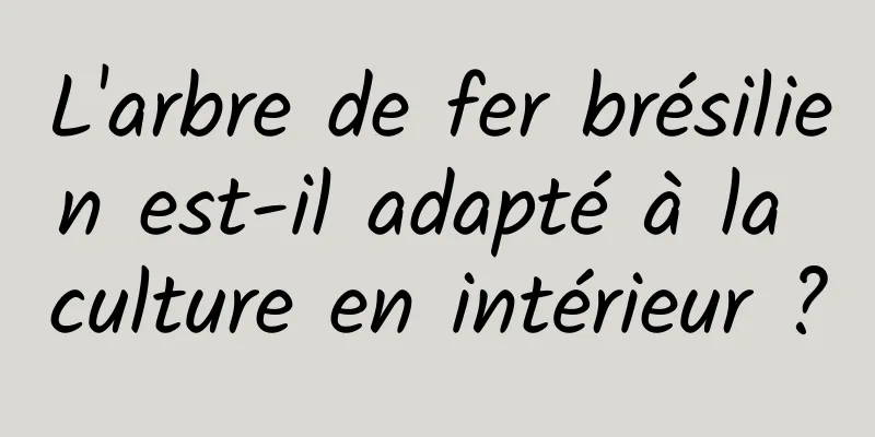 L'arbre de fer brésilien est-il adapté à la culture en intérieur ?