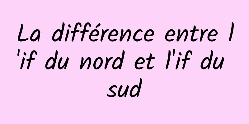 La différence entre l'if du nord et l'if du sud