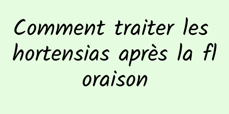 Comment traiter les hortensias après la floraison