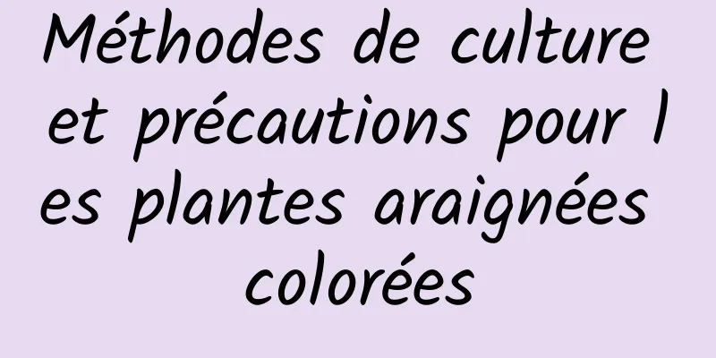 Méthodes de culture et précautions pour les plantes araignées colorées