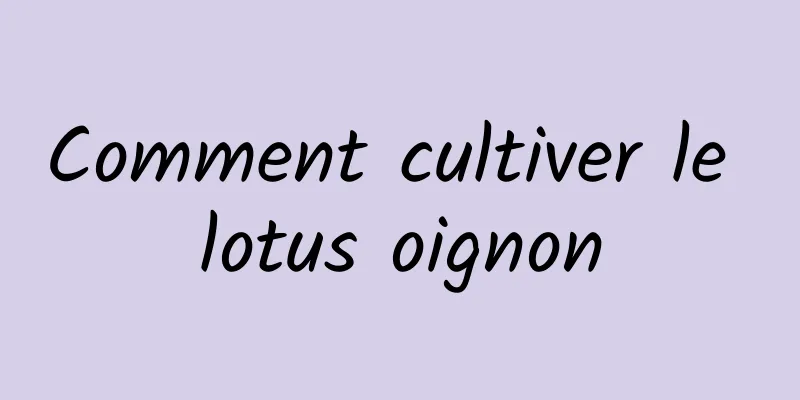 Comment cultiver le lotus oignon