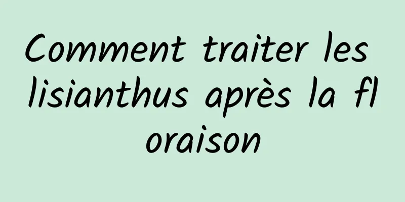 Comment traiter les lisianthus après la floraison