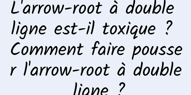 L'arrow-root à double ligne est-il toxique ? Comment faire pousser l'arrow-root à double ligne ?