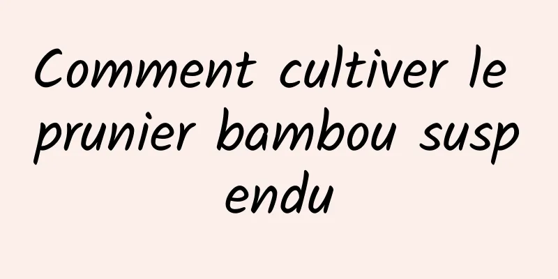 Comment cultiver le prunier bambou suspendu