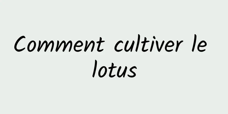 Comment cultiver le lotus