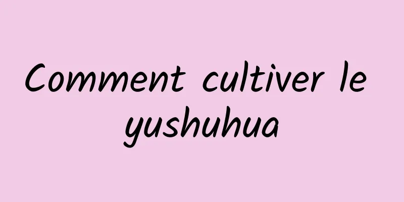 Comment cultiver le yushuhua