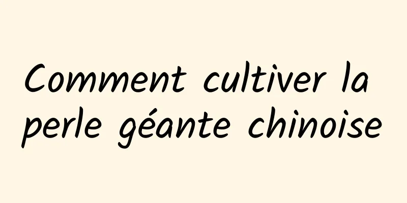 Comment cultiver la perle géante chinoise