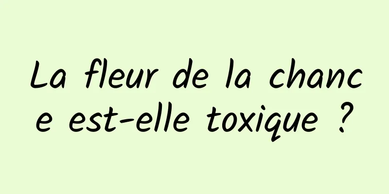 La fleur de la chance est-elle toxique ?