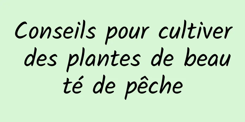 Conseils pour cultiver des plantes de beauté de pêche