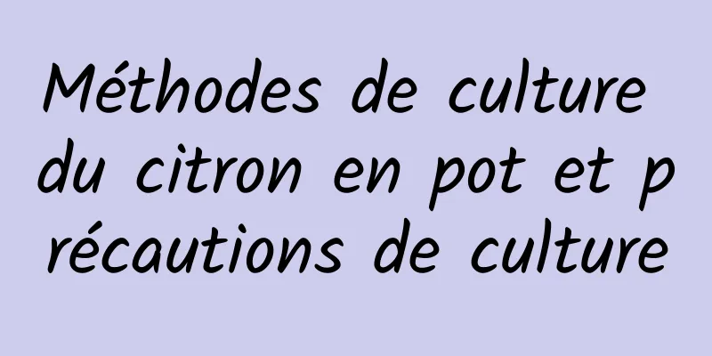 Méthodes de culture du citron en pot et précautions de culture